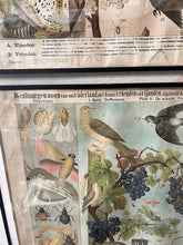 Afbeelding in Gallery-weergave laden, Schoolkaarten
