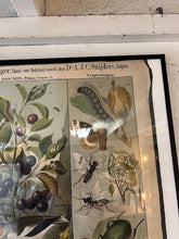 Afbeelding in Gallery-weergave laden, Schoolkaarten

